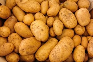 低糖質の宅配食はどのプランが向いているか？
