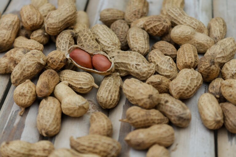 低糖質ダイエット食品は本当に効果的？選び方や注意点を解説！